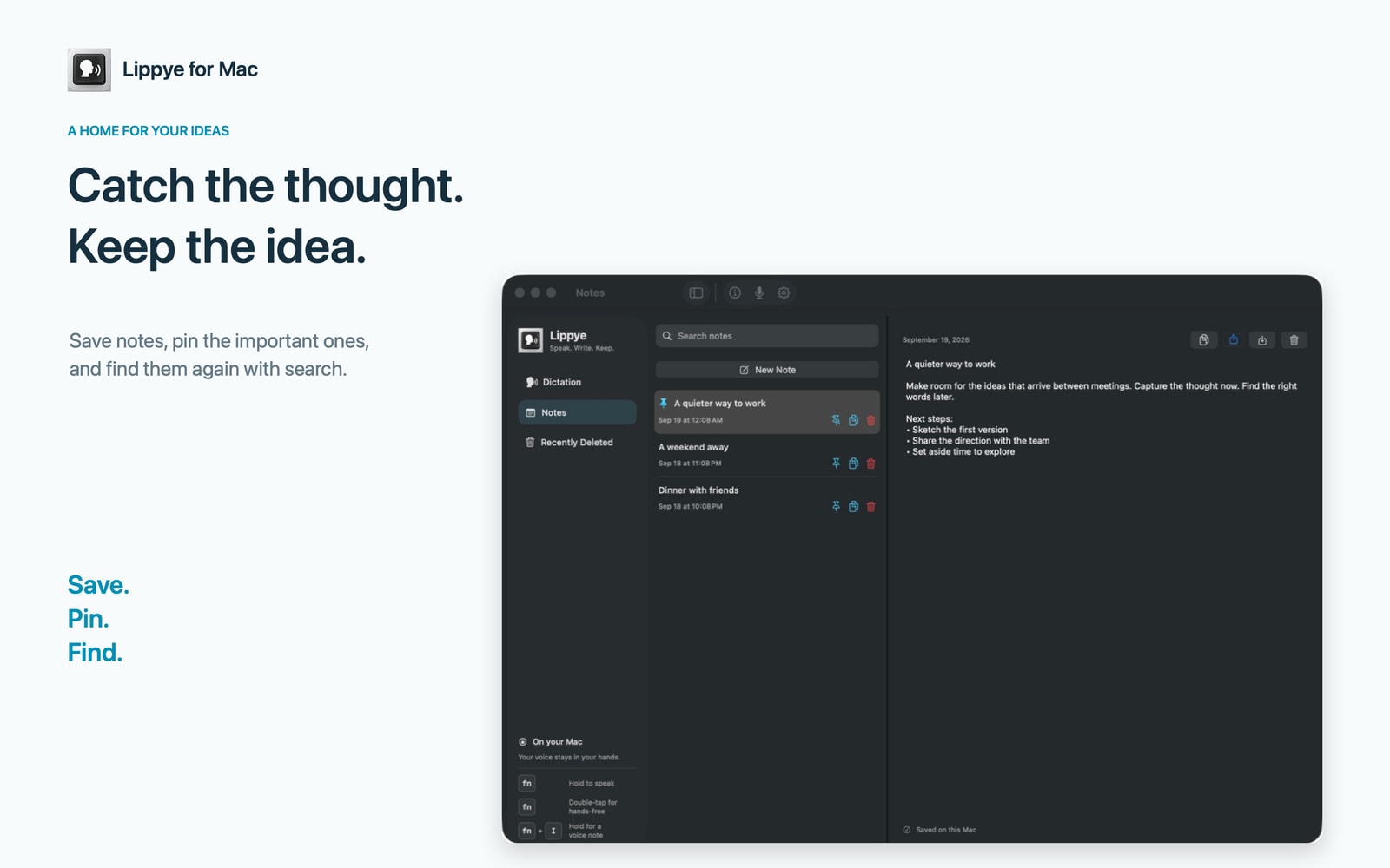 Saved Lippye notes with pin, search, copy and sharing controls