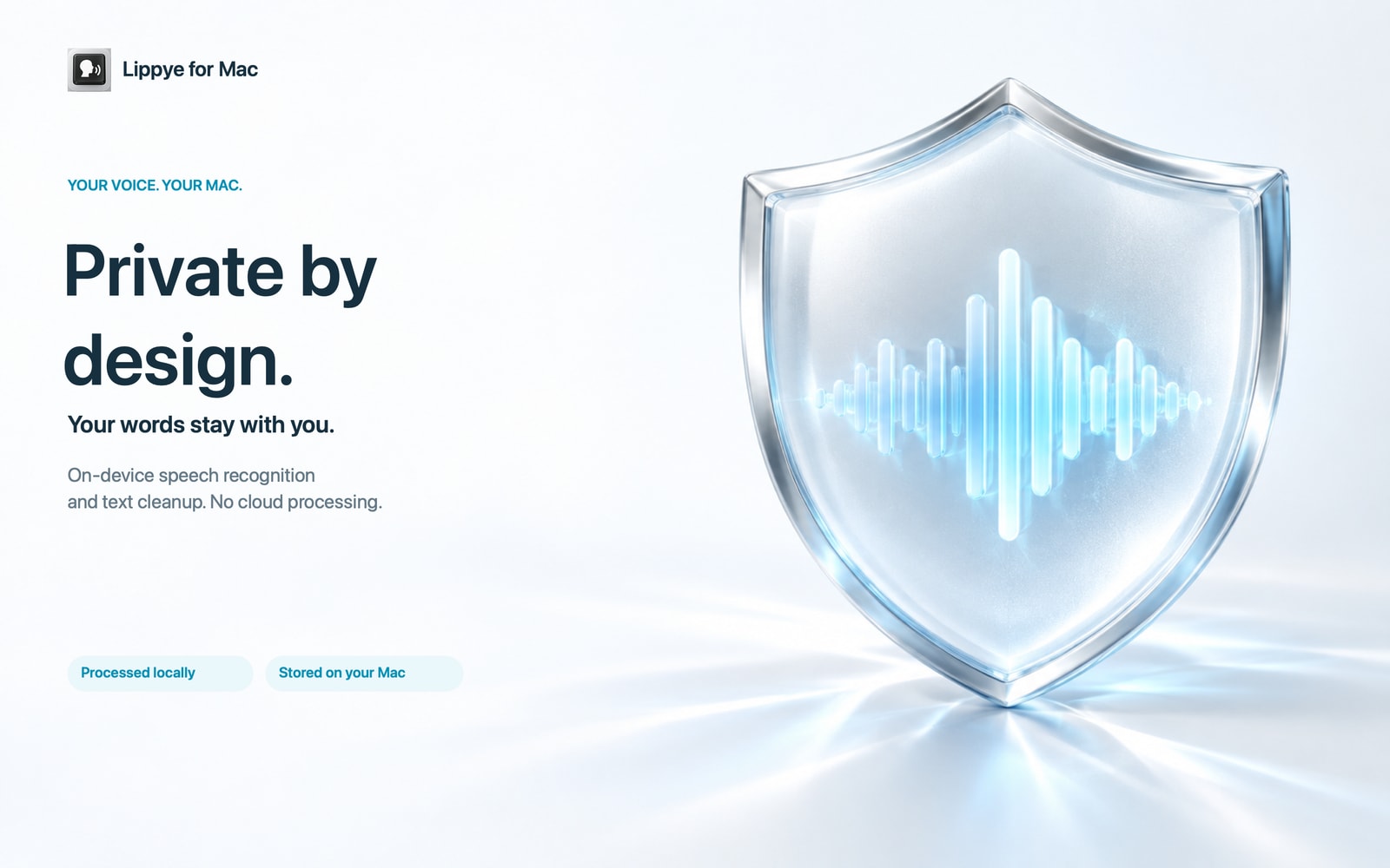 Private by design. Speech recognition and cleanup happen on your Mac, with no cloud processing.