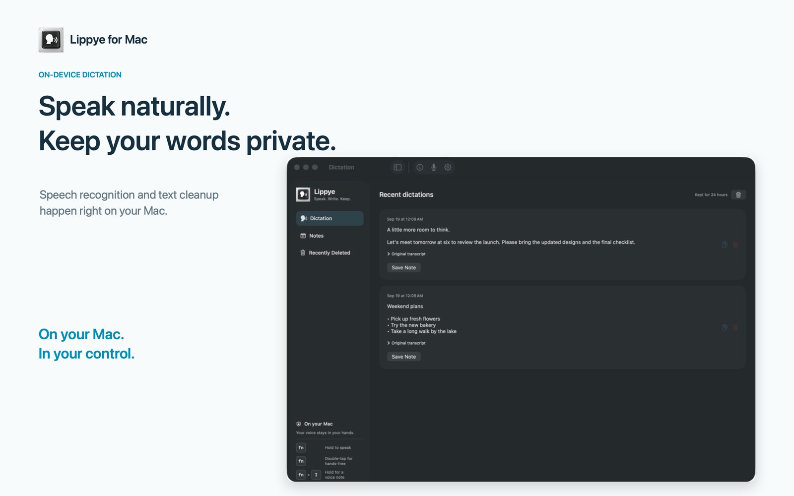 Lippye for Mac showing locally stored dictations and a formatted checklist